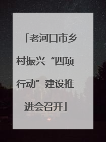 老河口市乡村振兴“四项行动”建设推进会召开