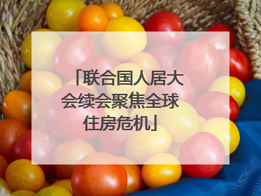 联合国人居大会续会聚焦全球住房危机