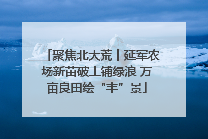 聚焦北大荒丨延军农场新苗破土铺绿浪 万亩良田绘“丰”景