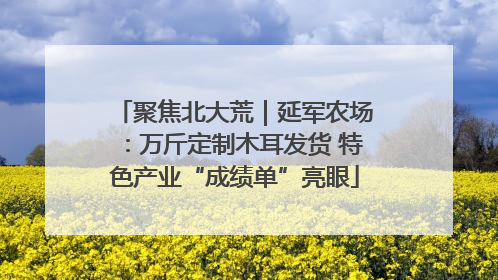 聚焦北大荒｜延军农场：万斤定制木耳发货 特色产业“成绩单”亮眼