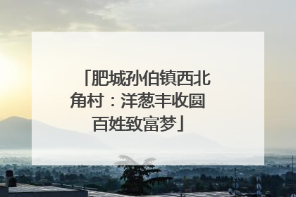 肥城孙伯镇西北角村：洋葱丰收圆百姓致富梦