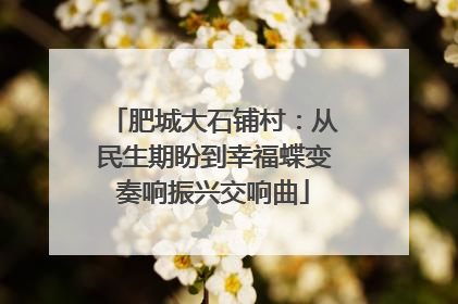 肥城大石铺村：从民生期盼到幸福蝶变奏响振兴交响曲