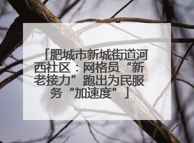 肥城市新城街道河西社区：网格员“新老接力”跑出为民服务“加速度”