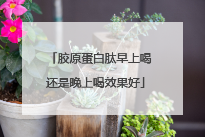 胶原蛋白肽早上喝还是晚上喝效果好