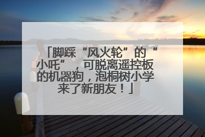 脚踩“风火轮”的“小吒”，可脱离遥控板的机器狗，泡桐树小学来了新朋友！