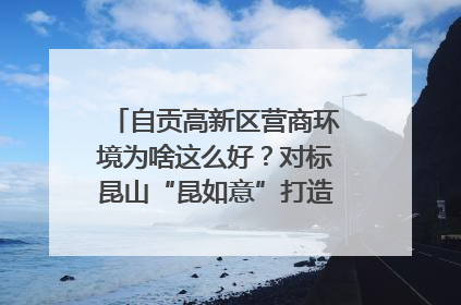 自贡高新区营商环境为啥这么好？对标昆山“昆如意”打造自贡“高兴办”｜美好生活有“盐”味