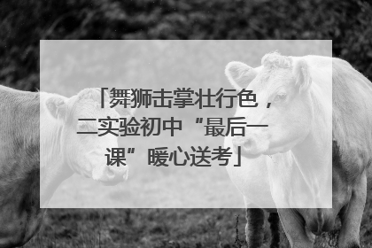舞狮击掌壮行色，二实验初中“最后一课”暖心送考