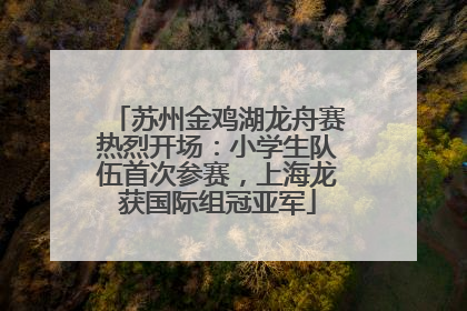苏州金鸡湖龙舟赛热烈开场：小学生队伍首次参赛，上海龙获国际组冠亚军