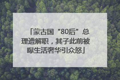 蒙古国“80后”总理遭解职，其子此前被曝生活奢华引众怒