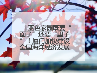 蓝色家园既要“面子”还要“里子”！厦门加快建设全国海洋经济发展示范区