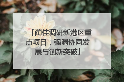 蔺佳调研新港区重点项目，强调协同发展与创新突破