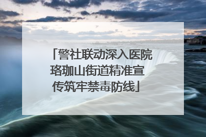 警社联动深入医院 珞珈山街道精准宣传筑牢禁毒防线