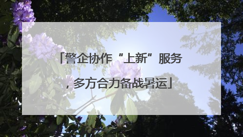 警企协作“上新”服务，多方合力备战暑运