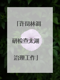 许昆林调研检查太湖治理工作
