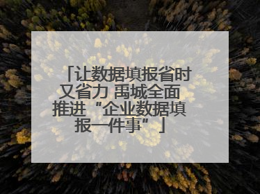 让数据填报省时又省力 禹城全面推进“企业数据填报一件事”