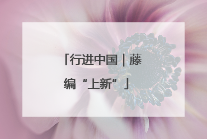 行进中国｜藤编“上新”