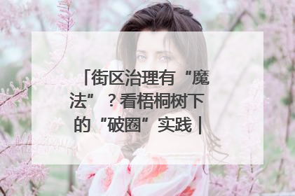 街区治理有“魔法”？看梧桐树下的“破圈”实践｜我在街区当书记