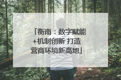 衡南：数字赋能+机制创新 打造营商环境新高地