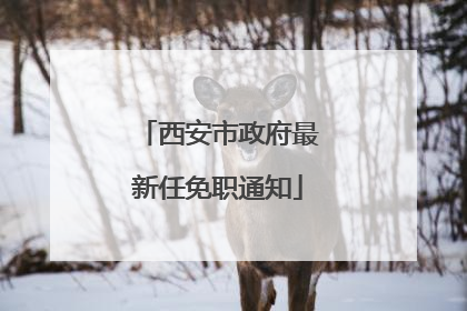 西安市政府最新任免职通知