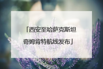 西安至哈萨克斯坦奇姆肯特航线发布