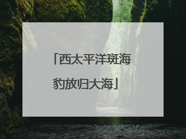 西太平洋斑海豹放归大海