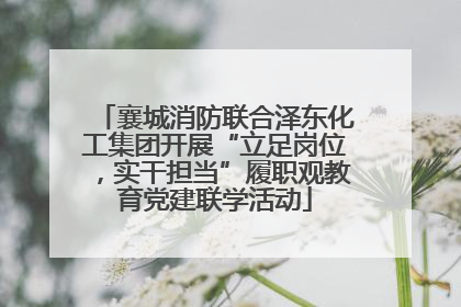 襄城消防联合泽东化工集团开展“立足岗位，实干担当”履职观教育党建联学活动