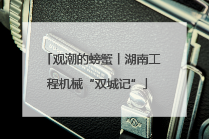 观潮的螃蟹丨湖南工程机械“双城记”