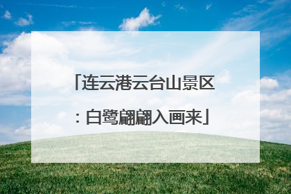 连云港云台山景区：白鹭翩翩入画来