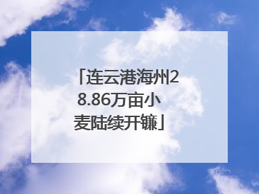 连云港海州28.86万亩小麦陆续开镰