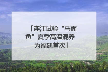 连江试验“马面鱼”夏季高温混养 为福建首次