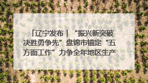 辽宁发布｜“振兴新突破 决胜勇争先”盘锦市锚定“五方面工作”力争全年地区生产总值增长5.5%左右