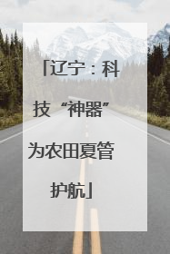 辽宁：科技“神器”为农田夏管护航