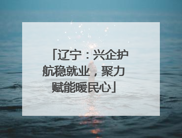 辽宁：兴企护航稳就业，聚力赋能暖民心