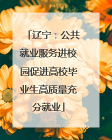 辽宁：公共就业服务进校园促进高校毕业生高质量充分就业