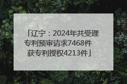 辽宁：2024年共受理专利预审请求7468件 获专利授权4213件