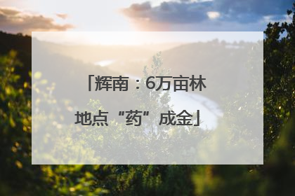 辉南：6万亩林地点“药”成金