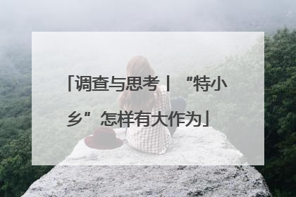 调查与思考丨“特小乡”怎样有大作为