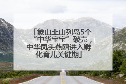 象山韭山列岛5个“中华宝宝”破壳，中华凤头燕鸥进入孵化育儿关键期