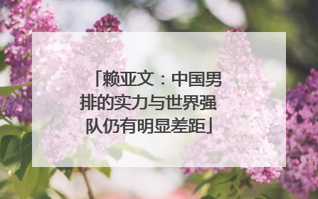 赖亚文：中国男排的实力与世界强队仍有明显差距