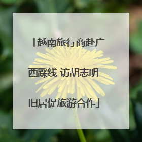 越南旅行商赴广西踩线 访胡志明旧居促旅游合作