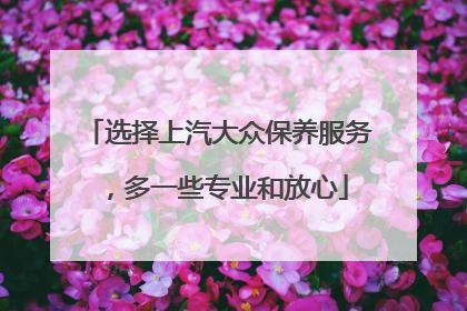 选择上汽大众保养服务，多一些专业和放心