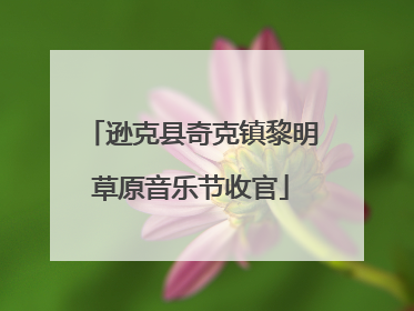 逊克县奇克镇黎明草原音乐节收官