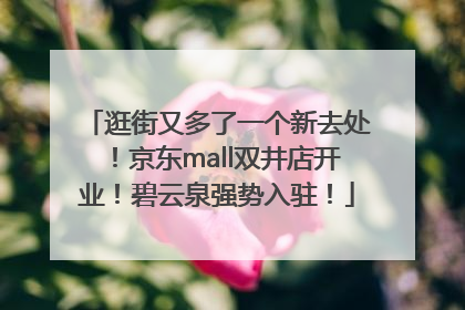逛街又多了一个新去处！京东mall双井店开业！碧云泉强势入驻！