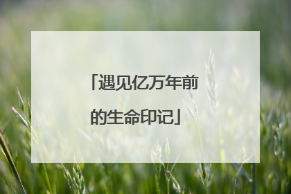 遇见亿万年前的生命印记
