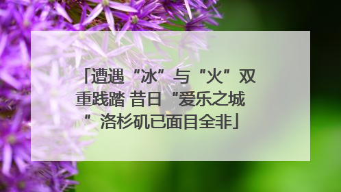 遭遇“冰”与“火”双重践踏 昔日“爱乐之城”洛杉矶已面目全非