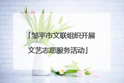 邹平市文联组织开展文艺志愿服务活动