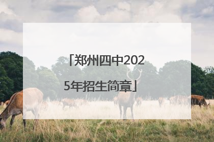 郑州四中2025年招生简章