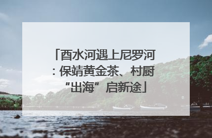 酉水河遇上尼罗河：保靖黄金茶、村厨“出海”启新途