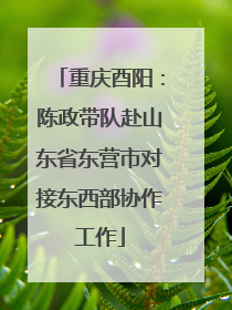 重庆酉阳：陈政带队赴山东省东营市对接东西部协作工作