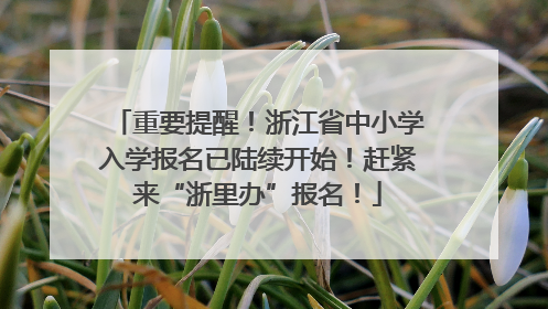 重要提醒！浙江省中小学入学报名已陆续开始！赶紧来“浙里办”报名！